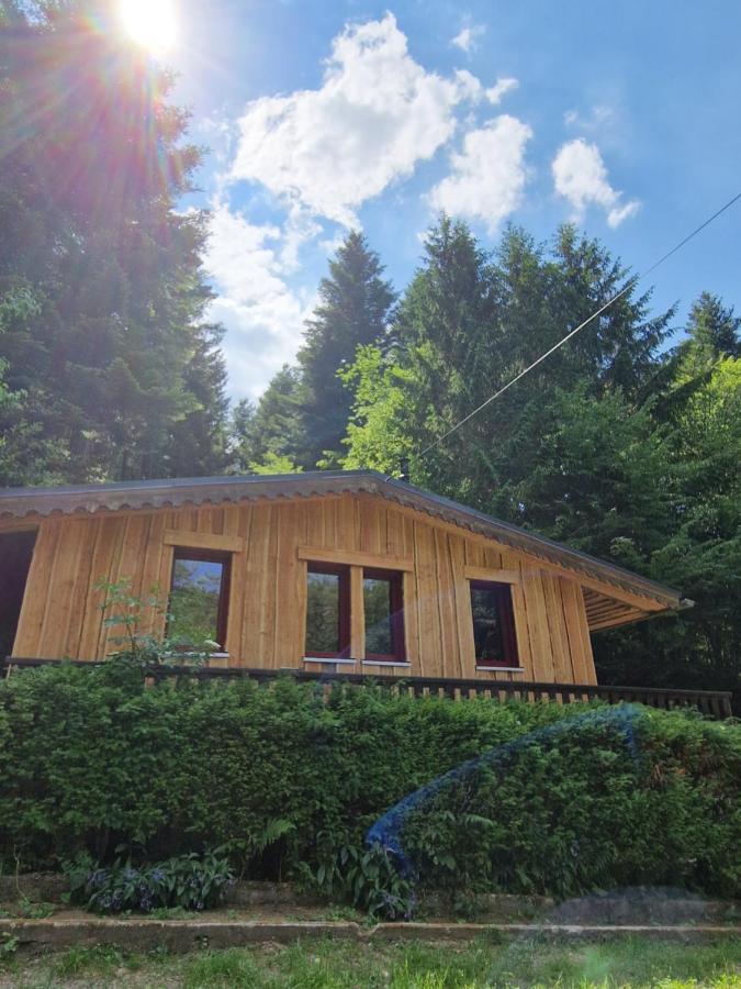Chalet De La Foret 1 A 6 Pers Saint-Sauveur  Esterno foto